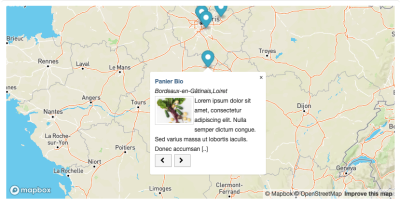 admin-loc-mapbox-display