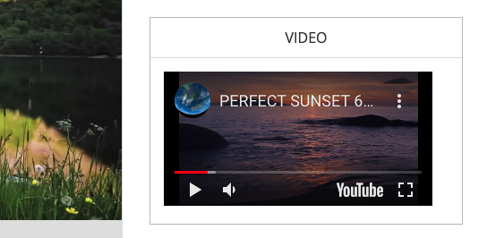 site-vid-embeddisplay